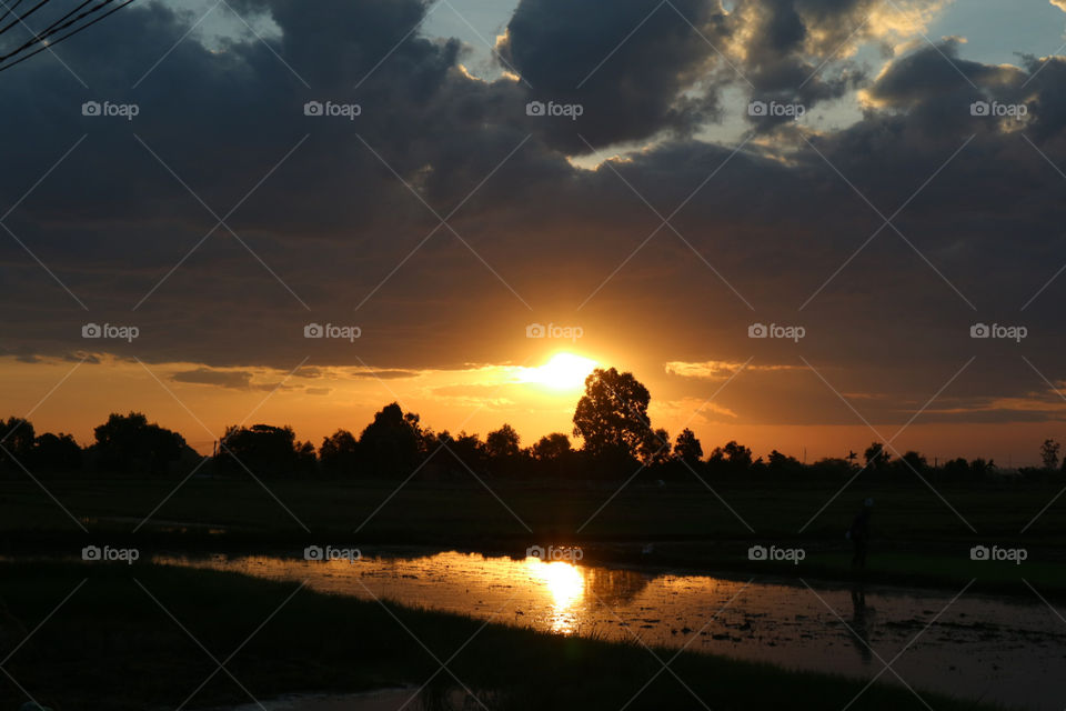 sunset on the field