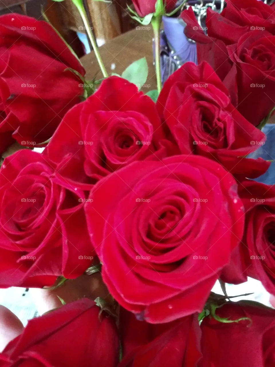 roses