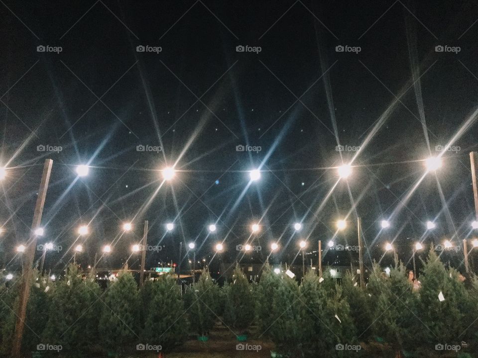 Christmas Tree Farm pt.4