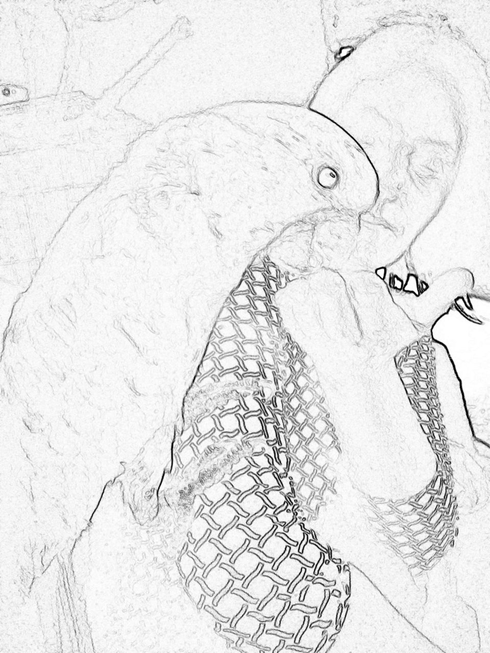 Illustration, Art, Print, Chalk Out, One