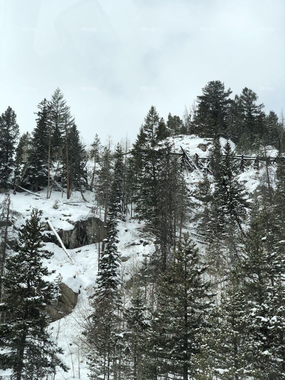 Old mining timbers on the mountains side in Colorado.