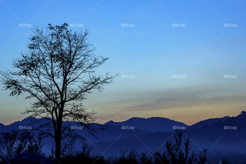 The morning sun behind the mountain and fog covering the trees.