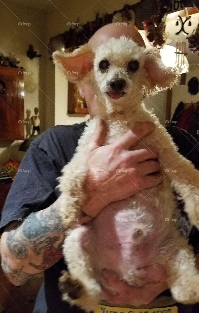 They say eventually you look like your dog.  I don't see it!