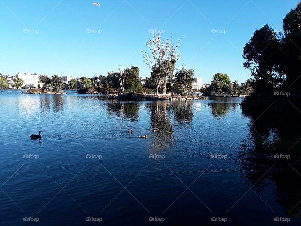 lake Merritt Oakland California