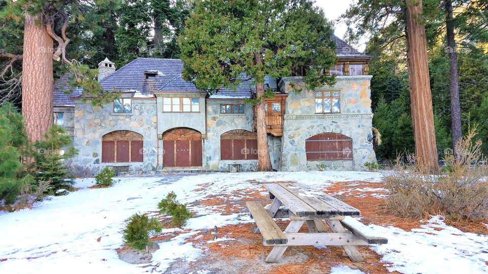 House, Wood, Architecture, No Person, Tree