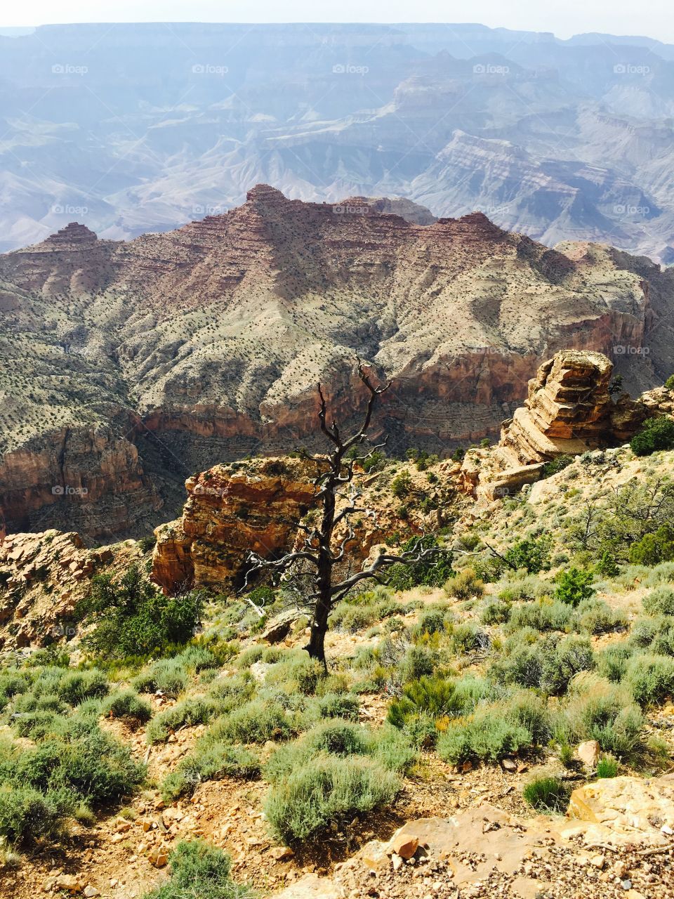 Grand Canyon 