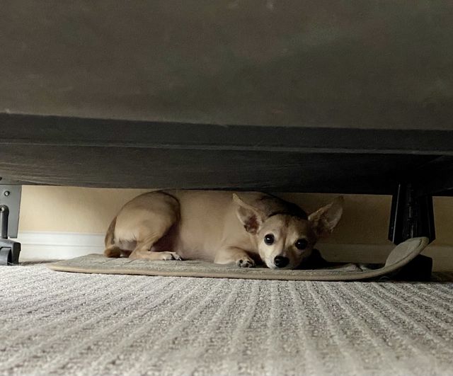 Safe place