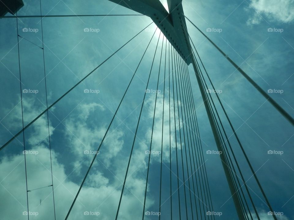Erasmus bridge, Rotterdam 