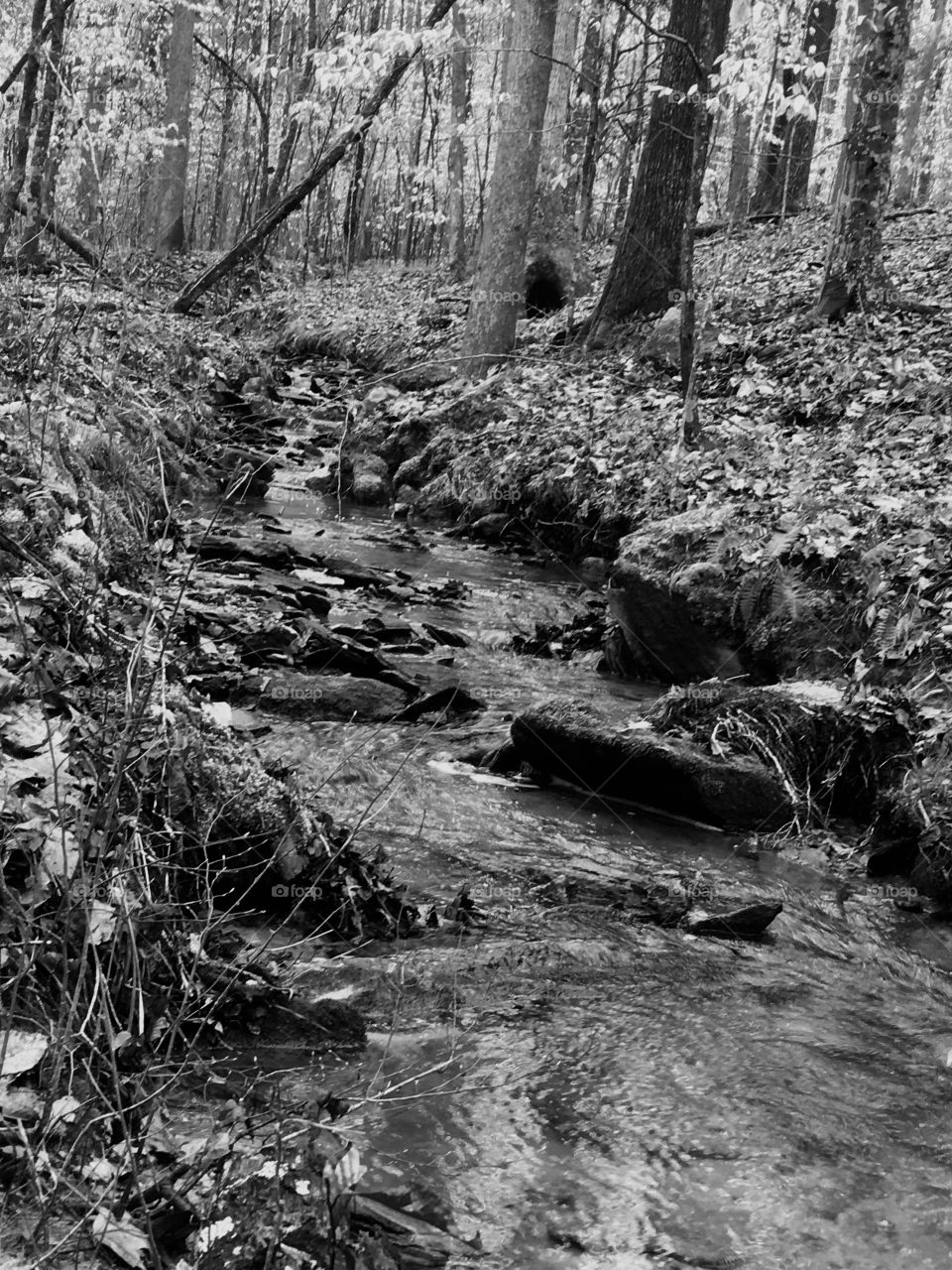 Black and white mountain stream
