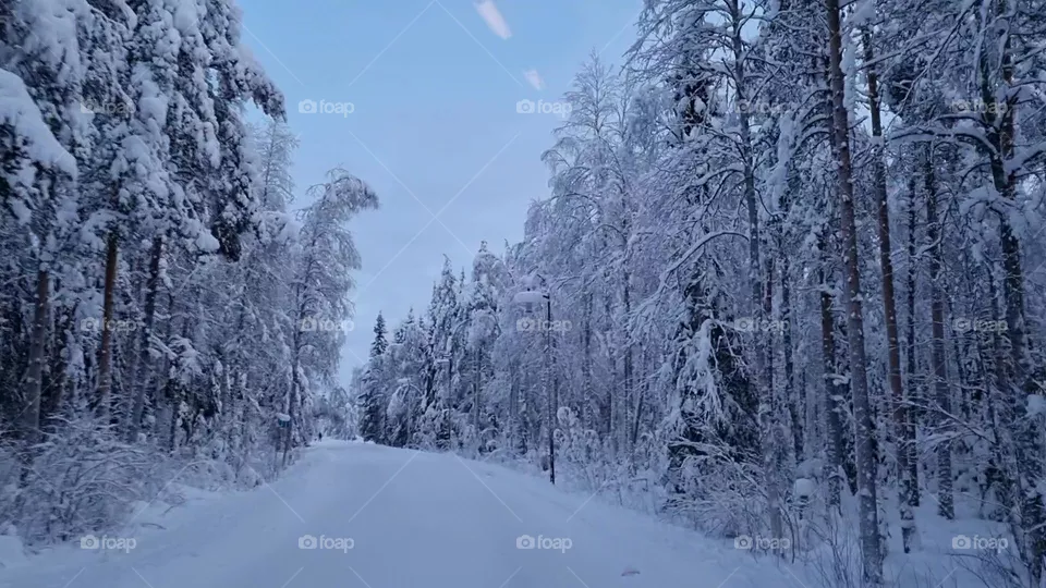 strada