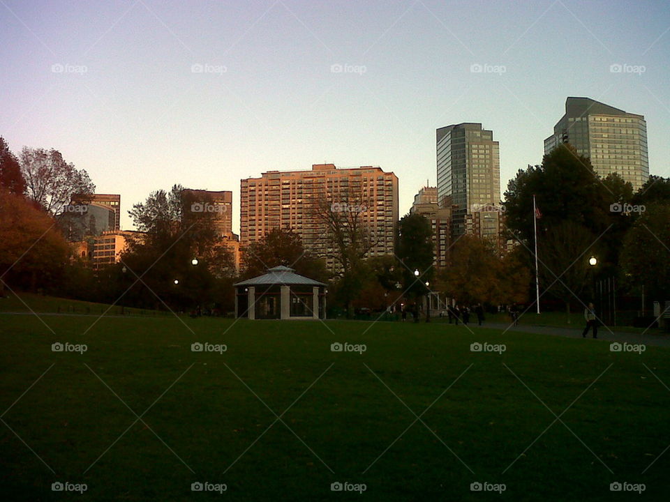 Boston commons