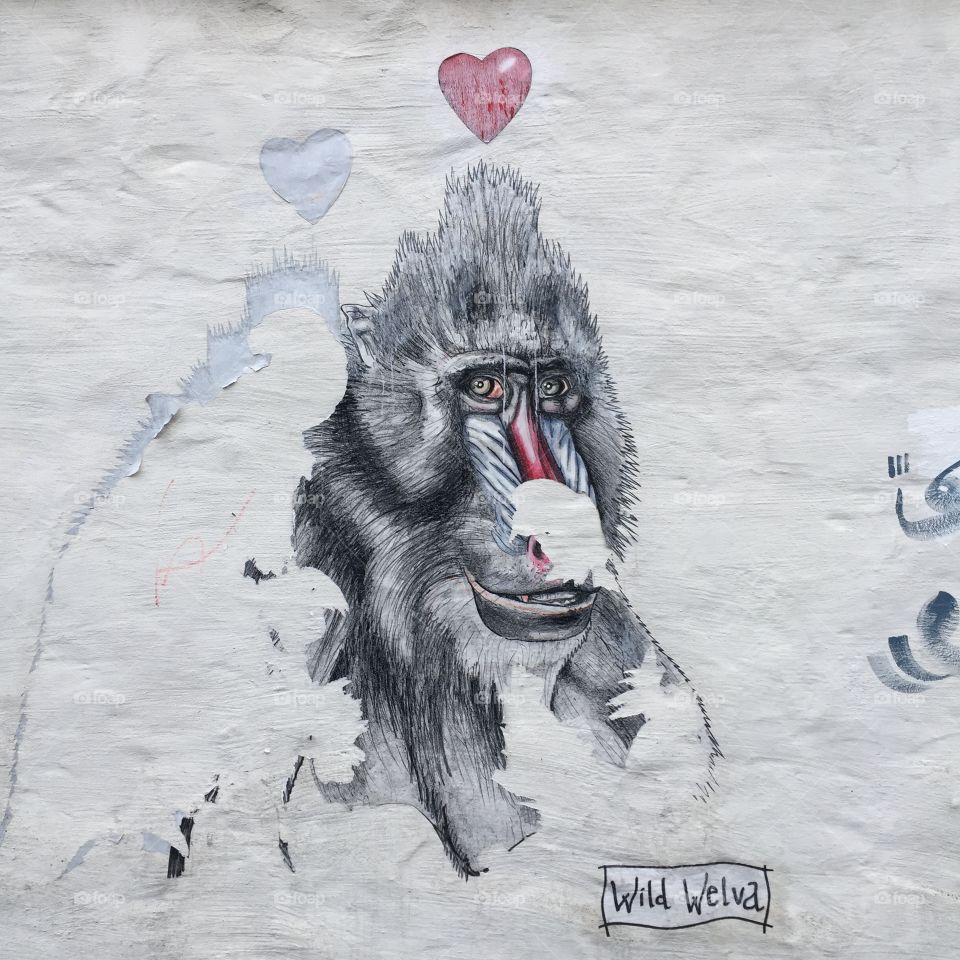 Icelandic Graffiti in Reykjavik