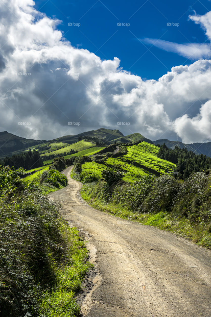 Hiking on the trail of Mata do Canario around the vulcanic lakes of Sete Cidades in Sao Miguel Island, Azores, Portugal.