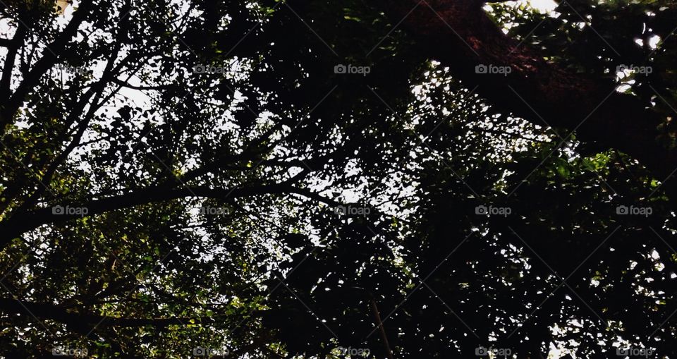A view outside my store in Chembur, Mumbai, India.