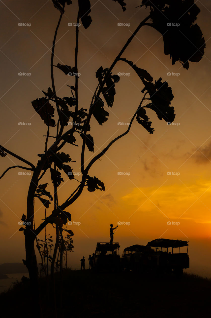 Silhouette of a tree, anonymous people and cars, the small tree was on the front and shot in a way that it looks bigger while people and cars were as a background, it was a beautiful sunset moment on the hills, and the sea is below us