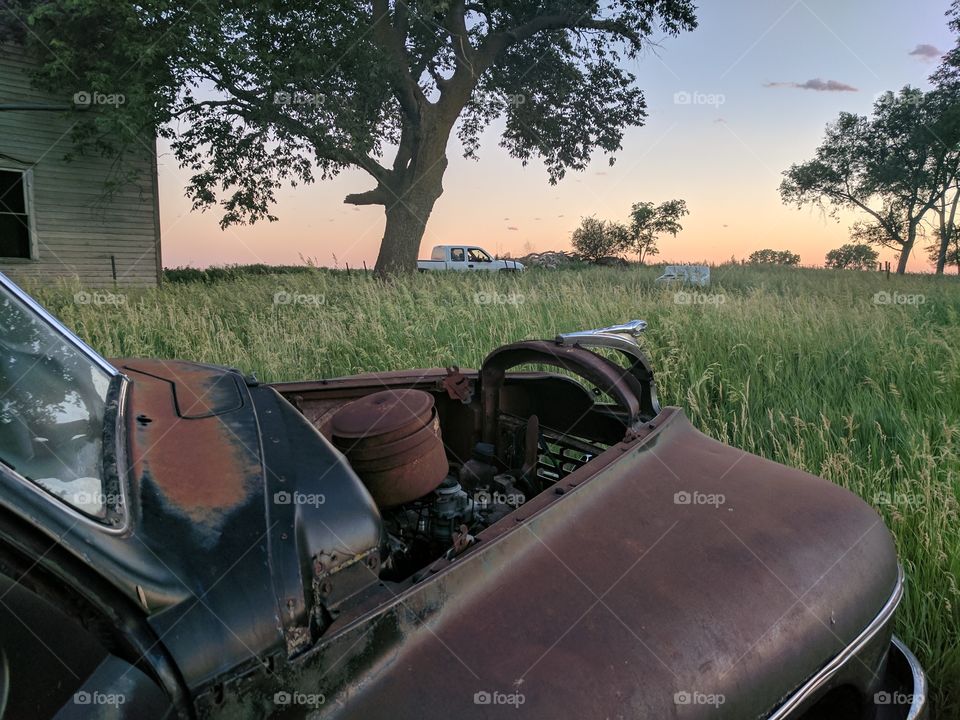 Vehicle, Car, Transportation System, Accident, Daylight