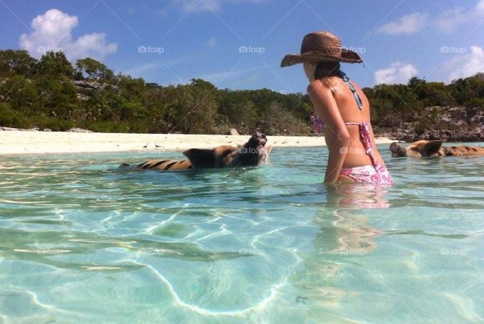 Swimming with the pigs in the Bahamas for the early summer swimming competition