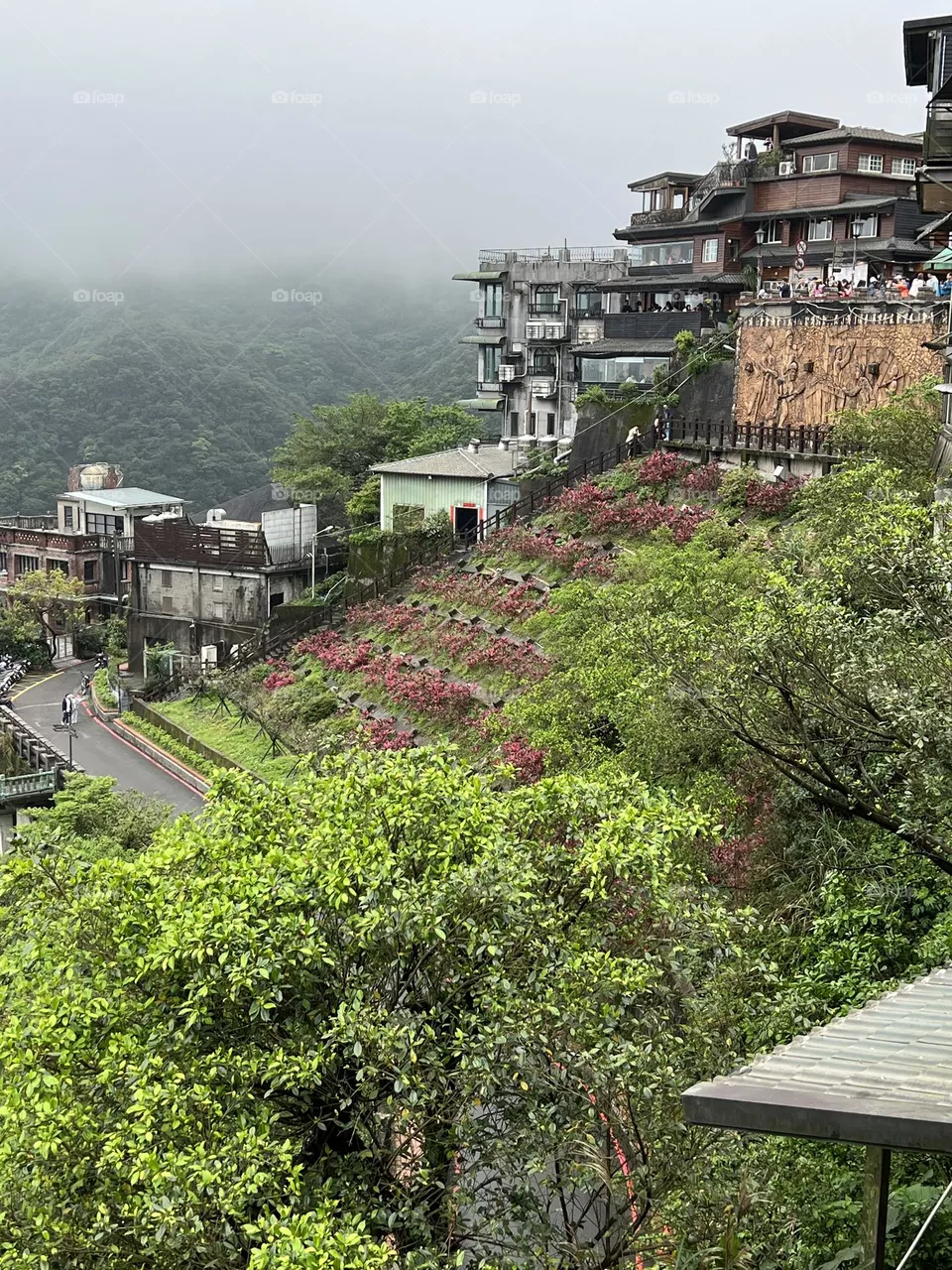 mountain 