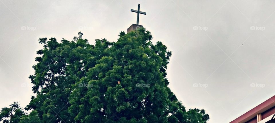 Beautiful Jesus Cross symbol on church top.. Trees view