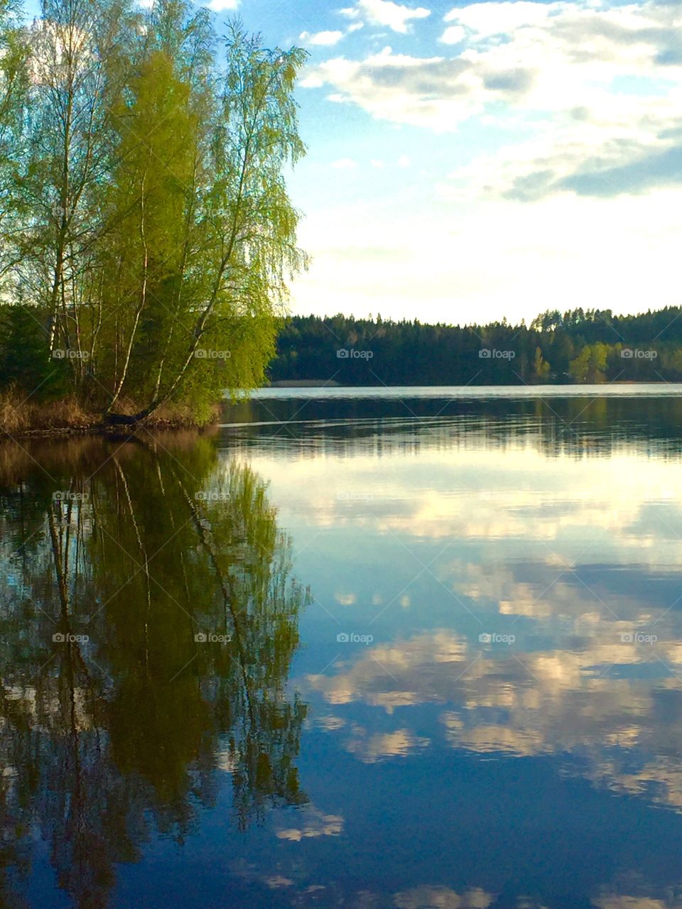The lake in the evening