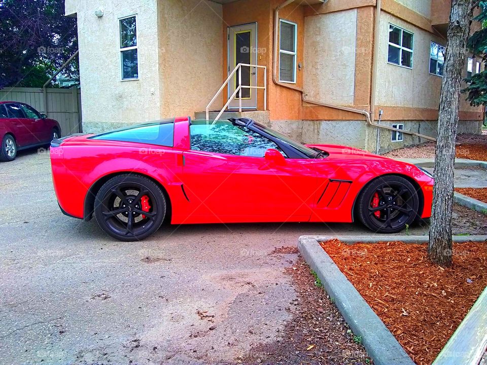 Corvette Red side