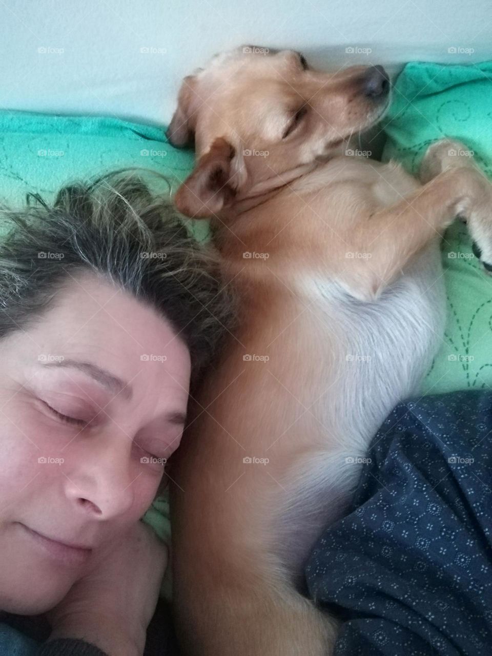 dream, woman and pet are sleeping on the pillow