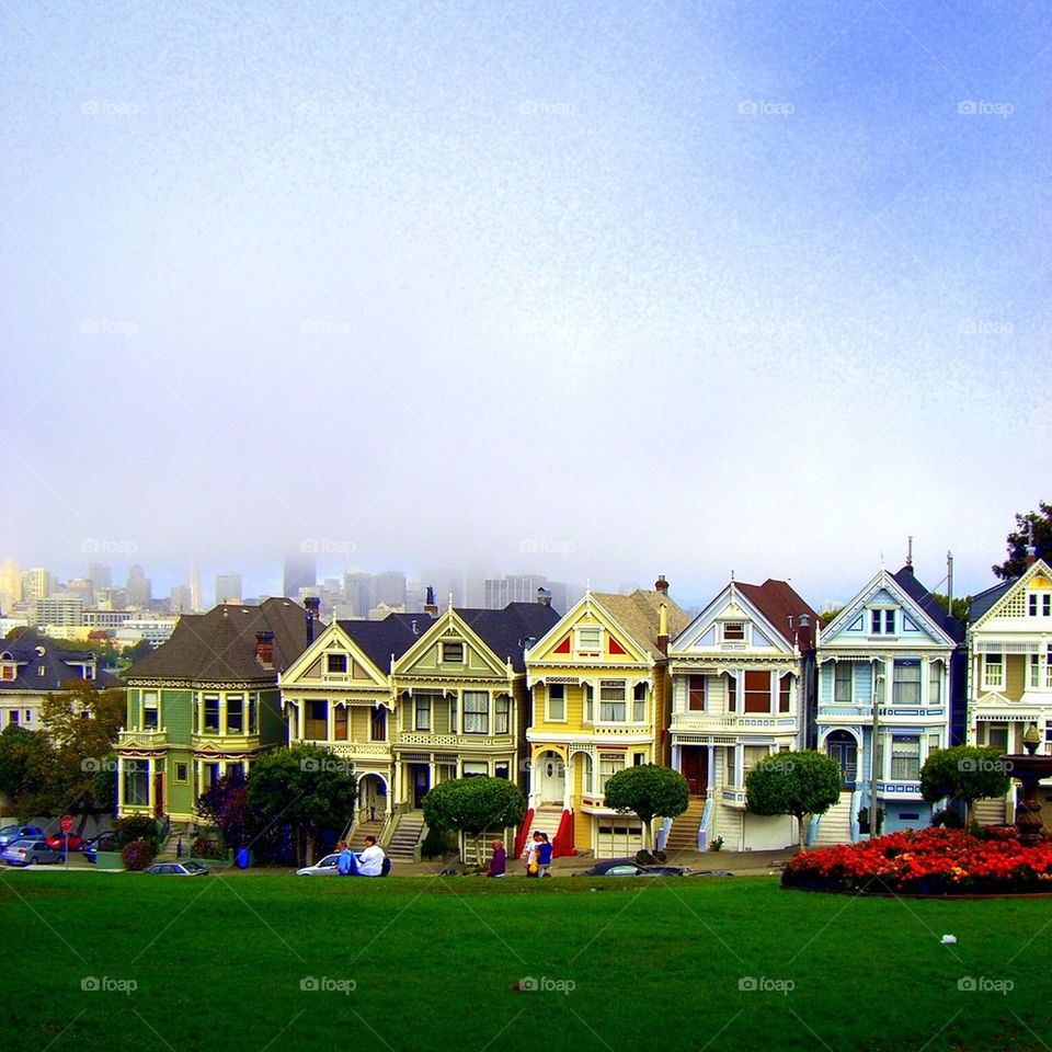 Painted Ladies