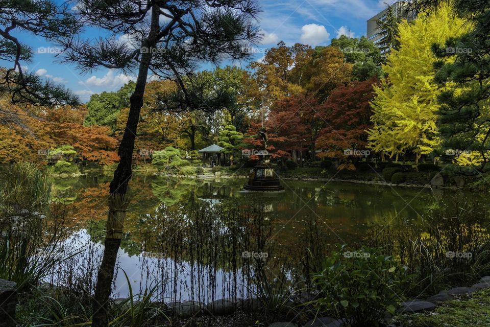 Beautiful lake scenery with colourful maple leaves