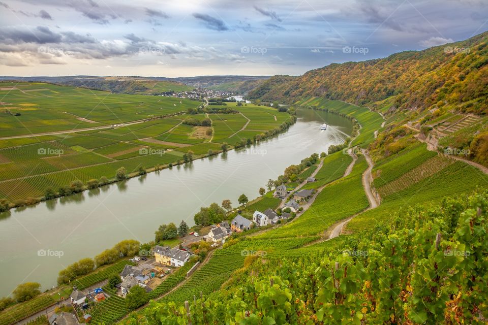 Moselle Landscape 