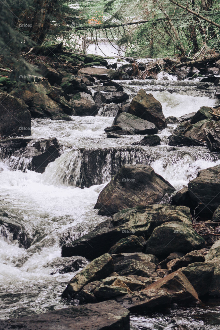 Algonquin Track & Tower 