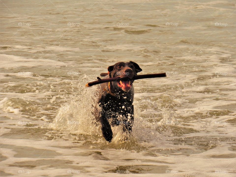 On the beach