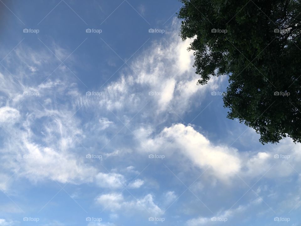 Fluffy clouds in blue sky