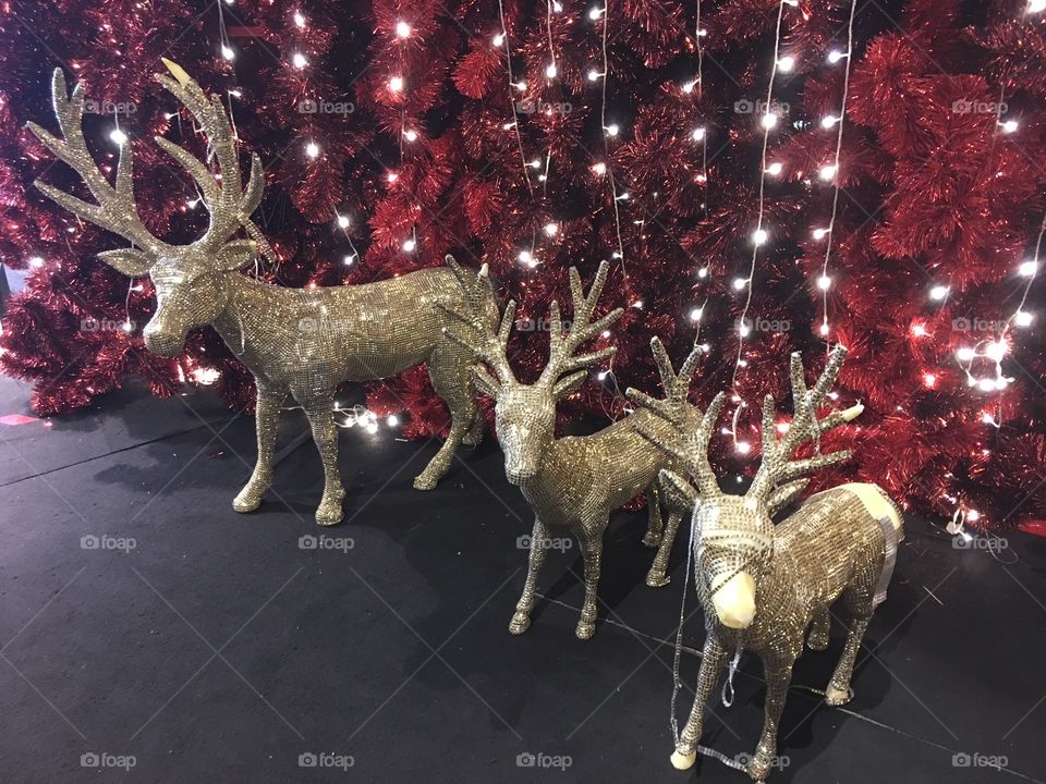 Reindeer and Christmas tree 