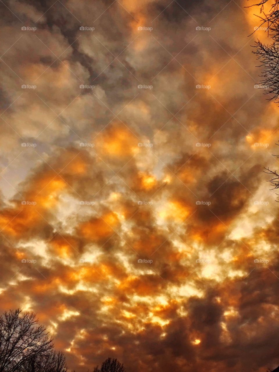 Sunset clouds 