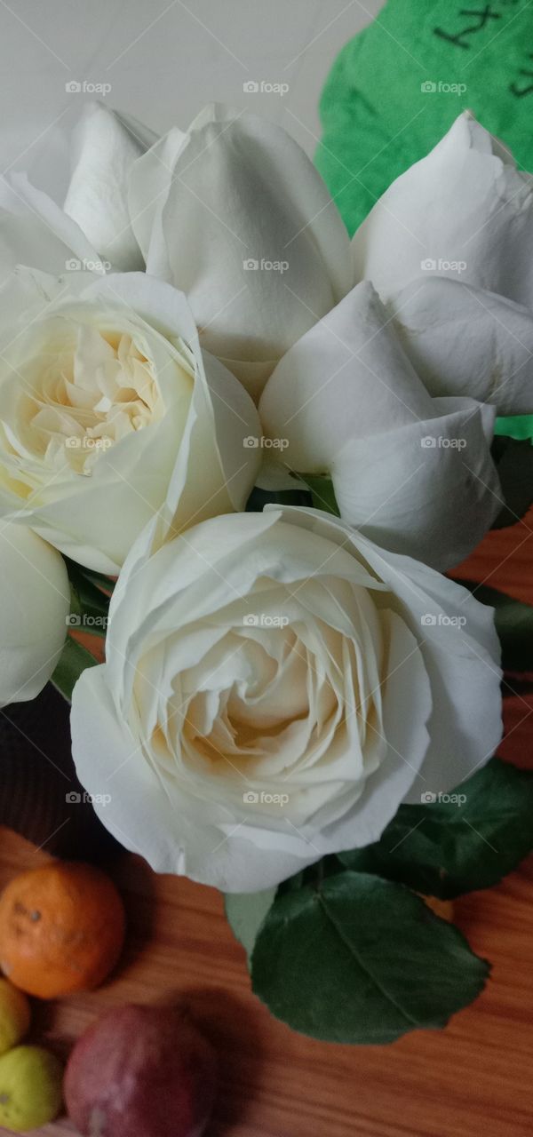 All white  ❤️✨ blooms