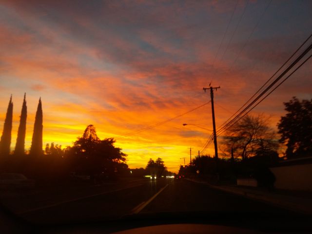 Westside evening