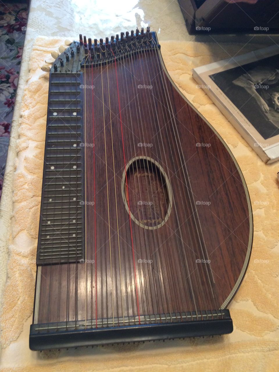 Antique Zither. 