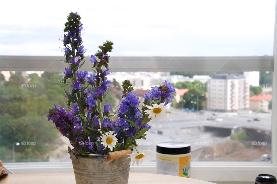 Summer Bouquet with daisies and blueweed 
