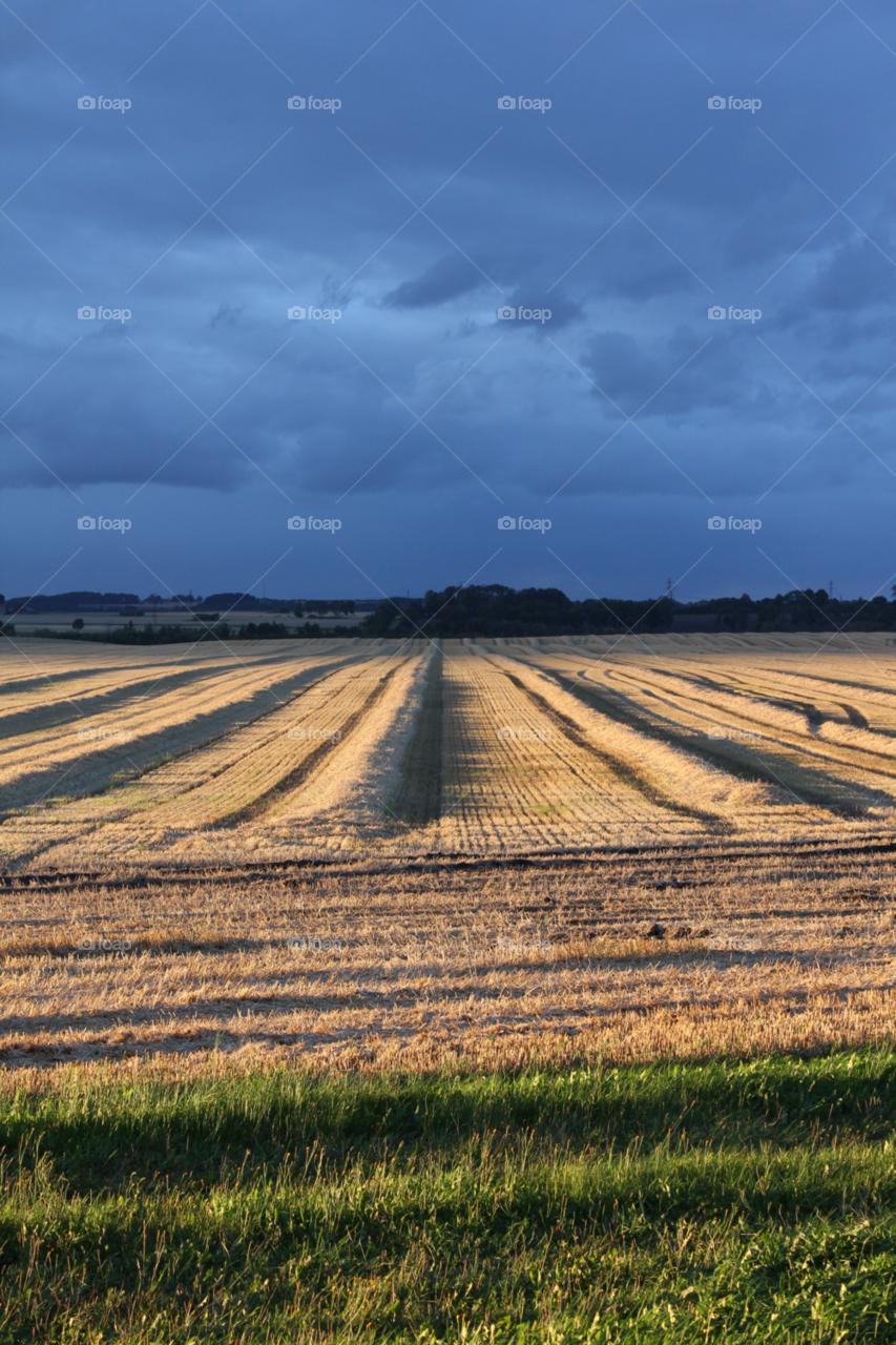 landscape sky field lines by beanzy