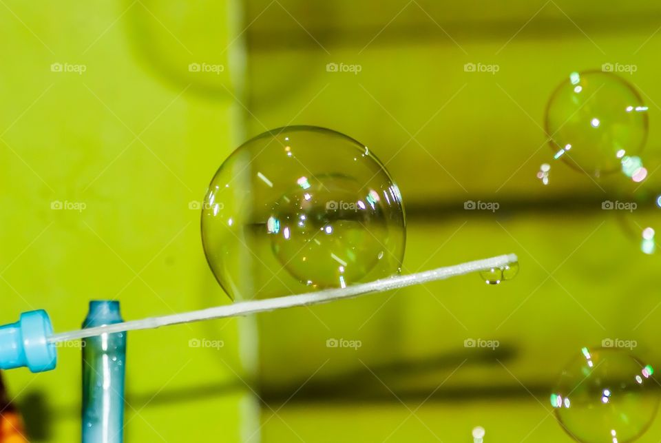 bubbles 