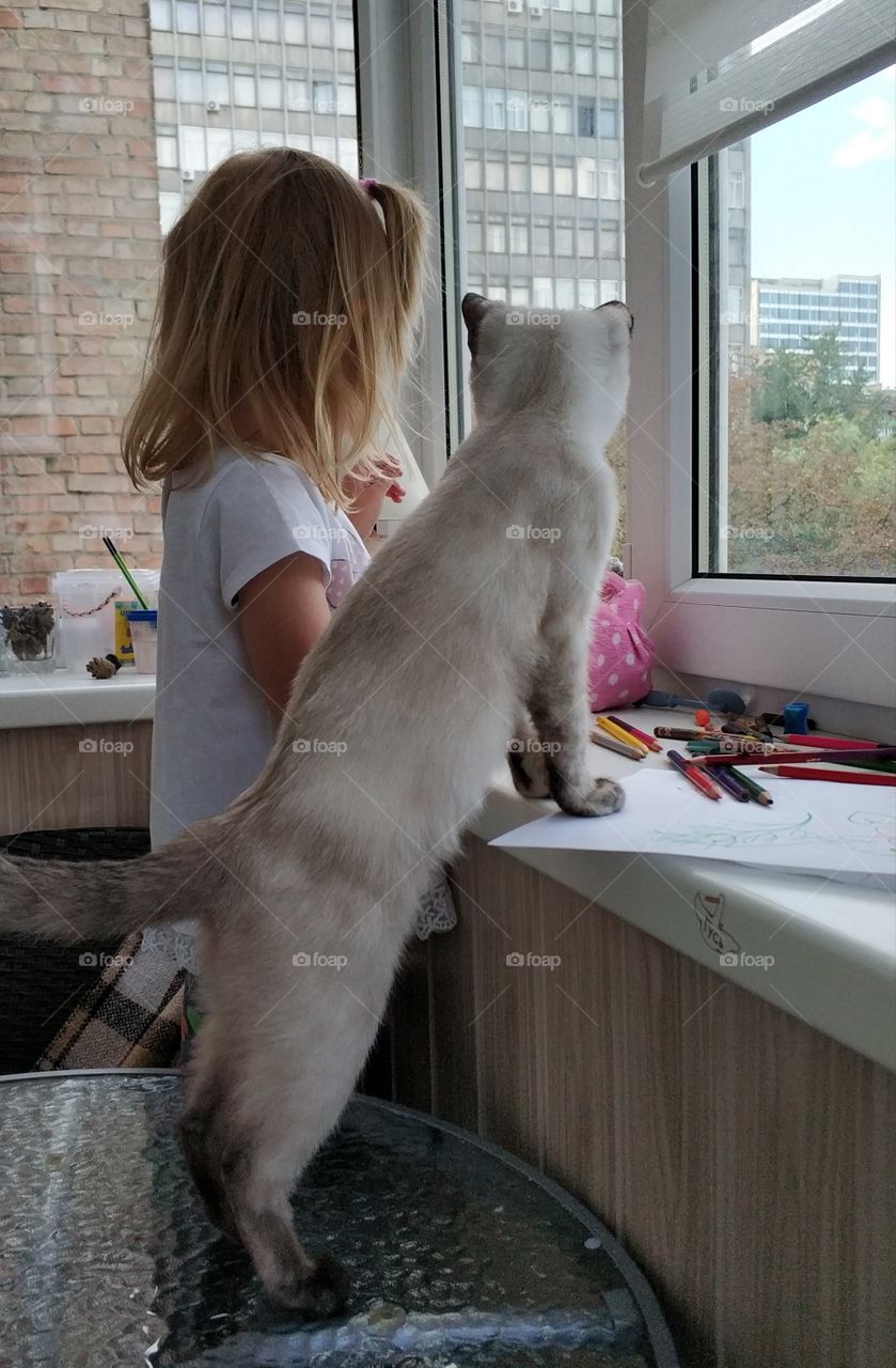 Little girl and kitten
