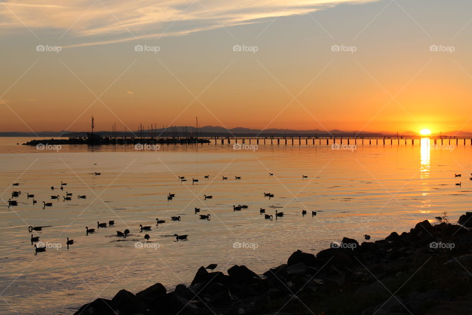 Sunset, pier, birds and an ideal ocean.