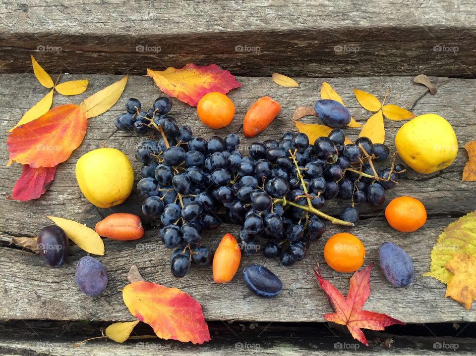 Autumn fruits