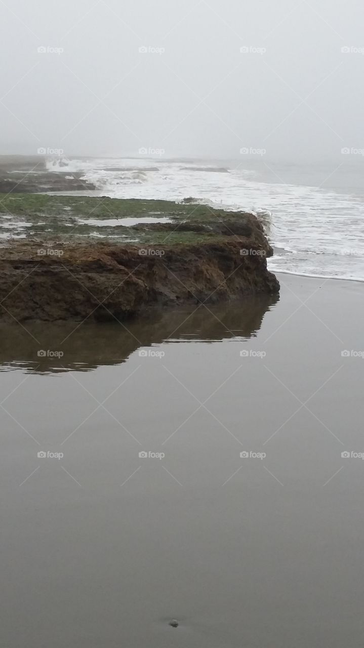 low tides reveals a beautiful shore line in Washington state