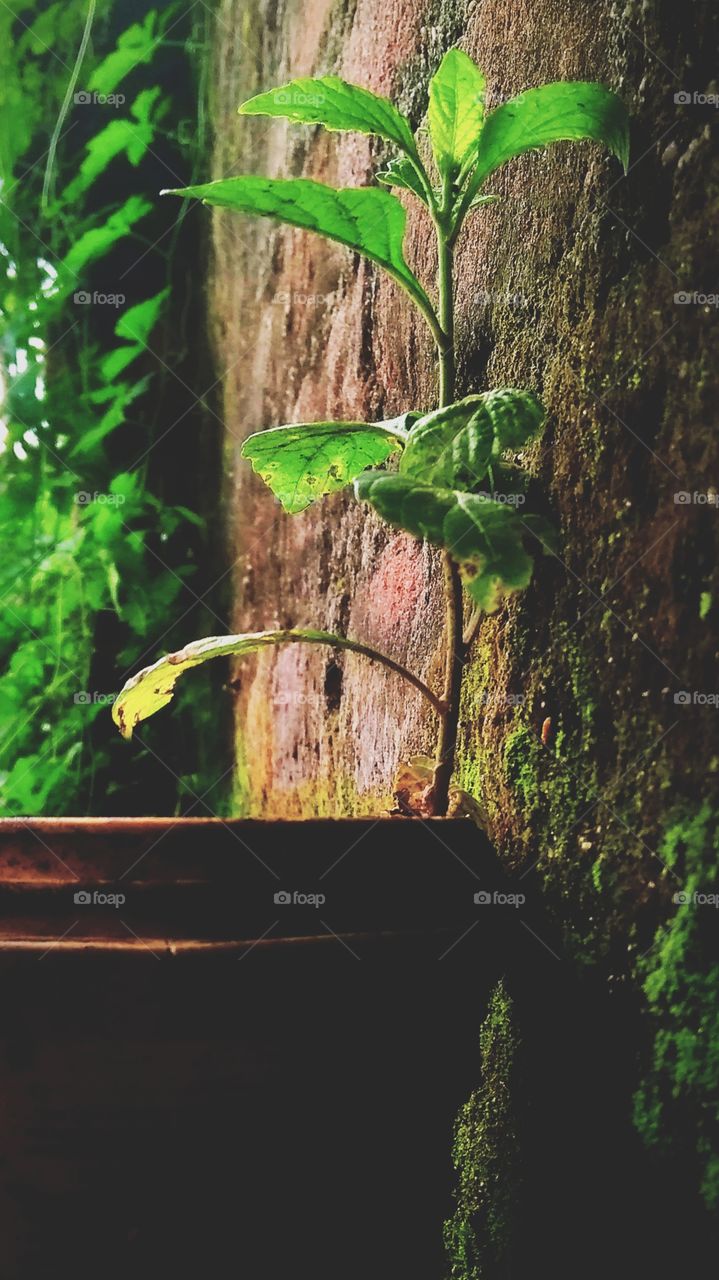 no waste, save nature