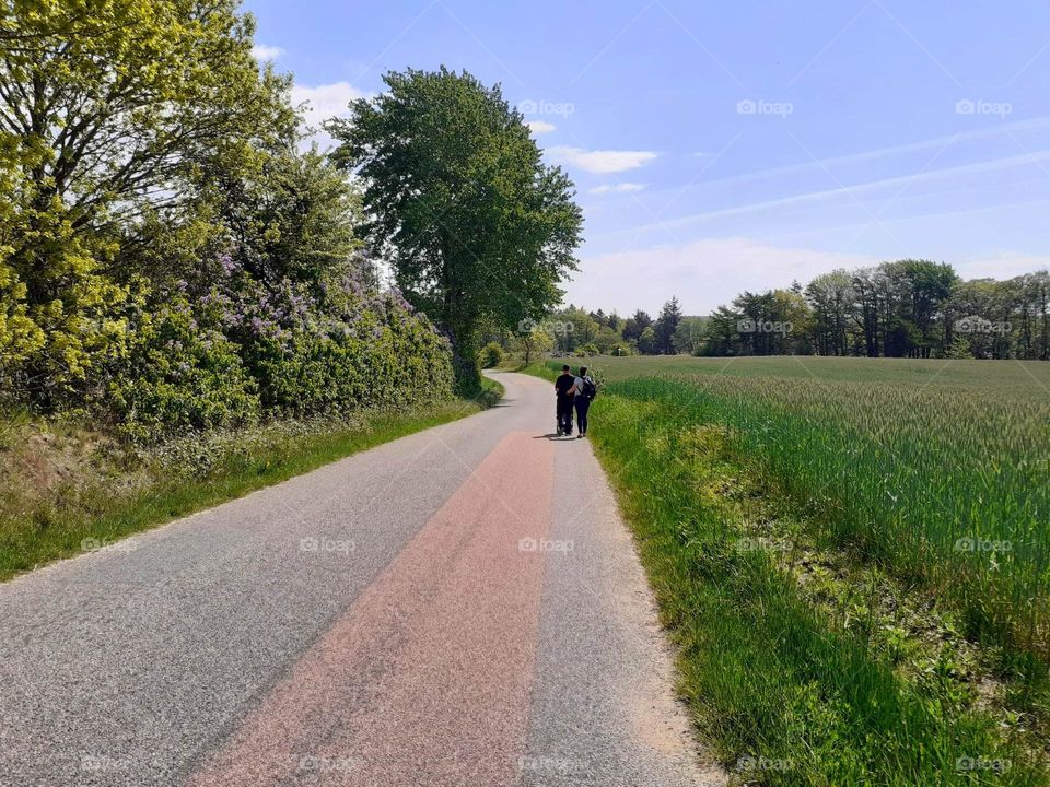 a walk down Lilac Street