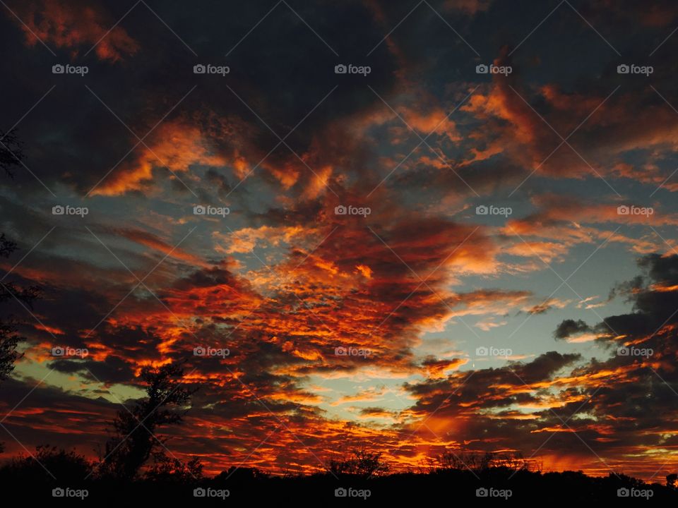 After the storm has passed many wonderful things can be found. 