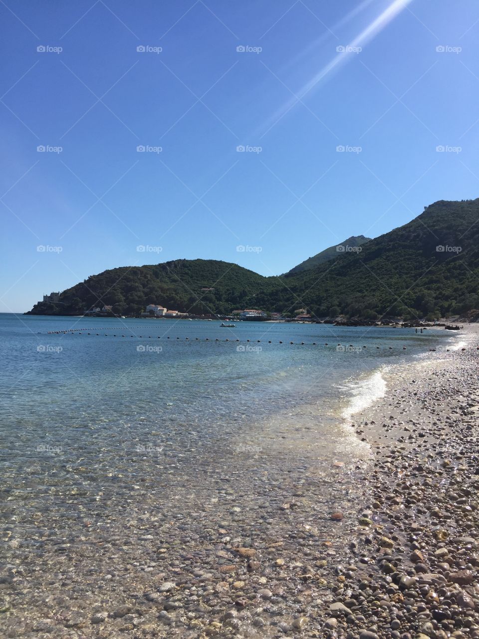 Scenic view of nature