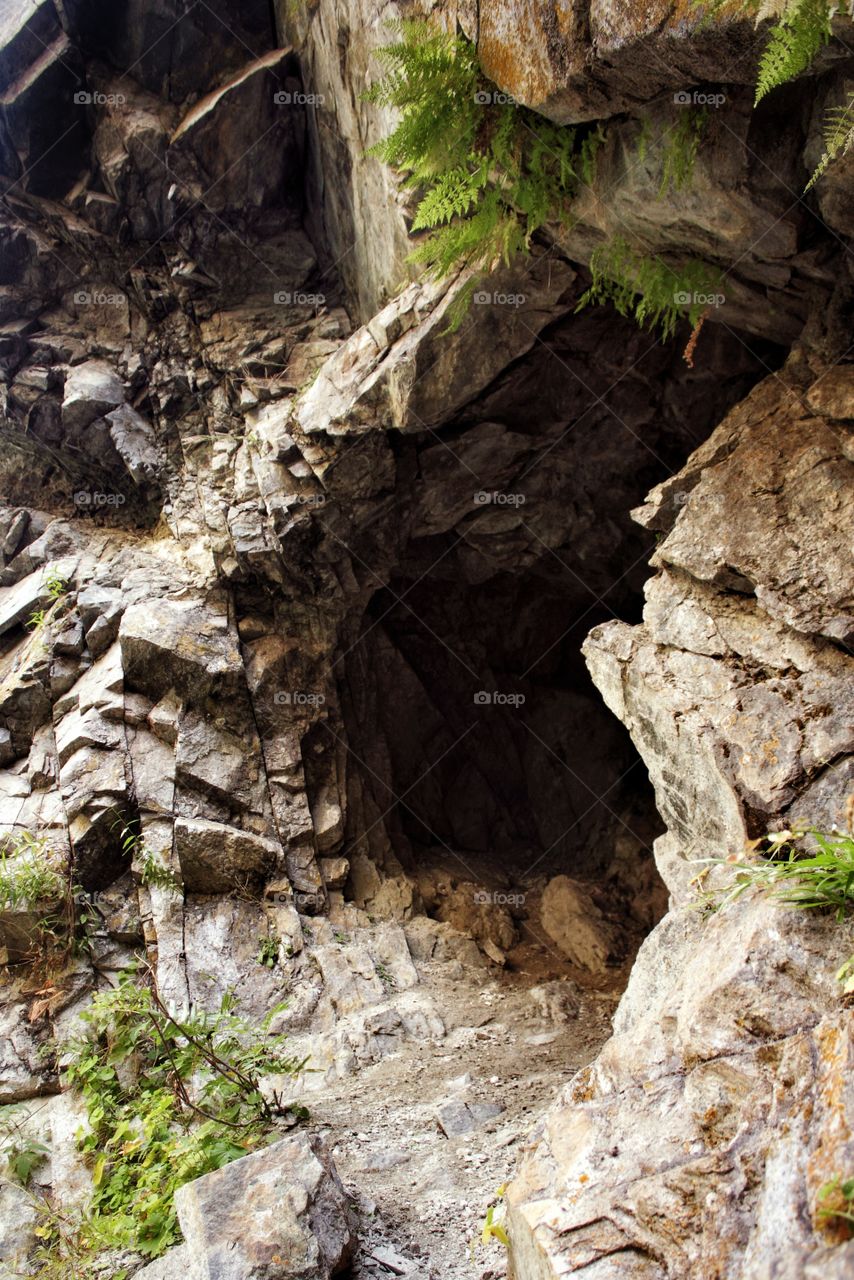 Fern cave in the mountains