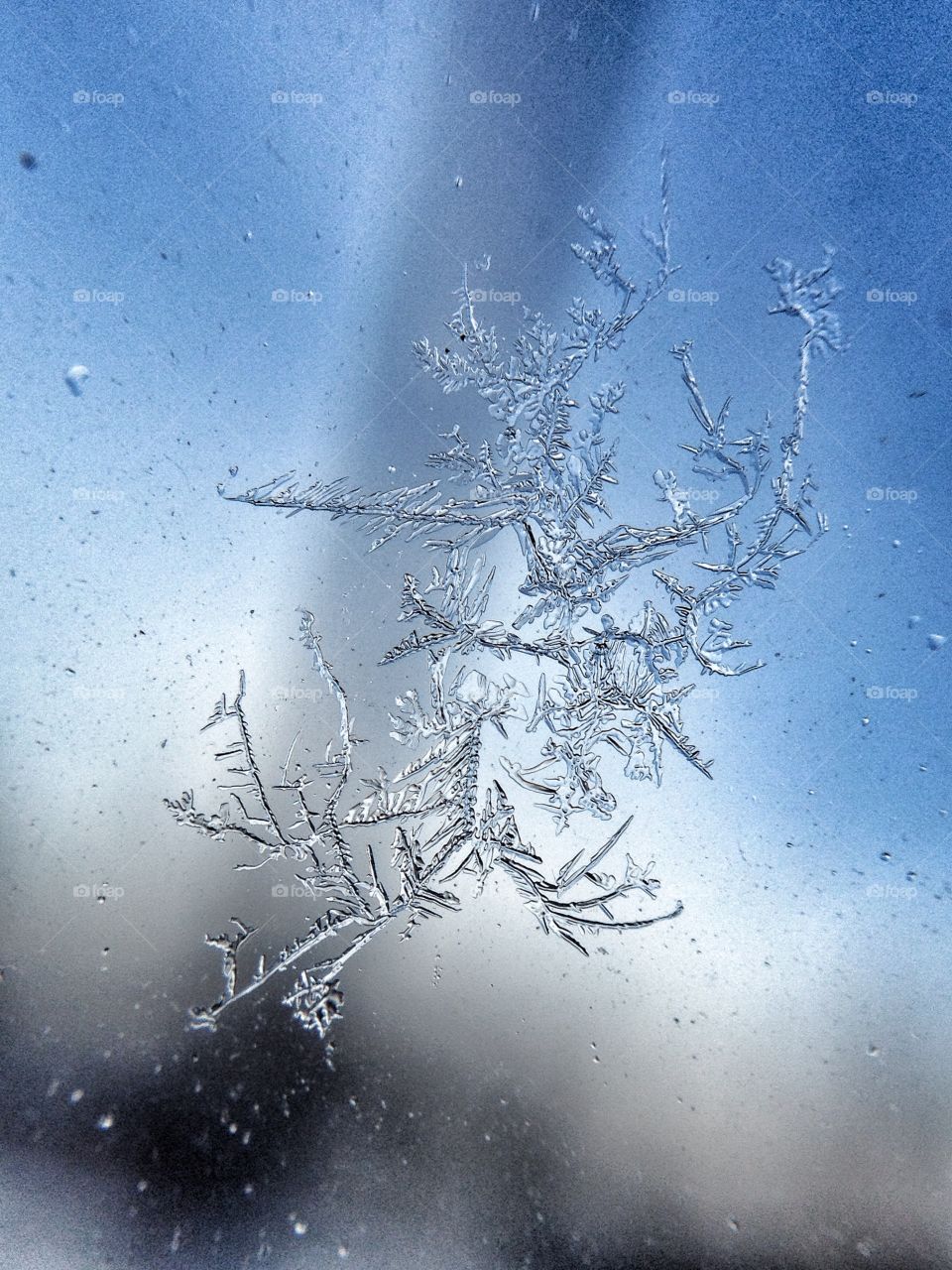 Macro of frost on a car window